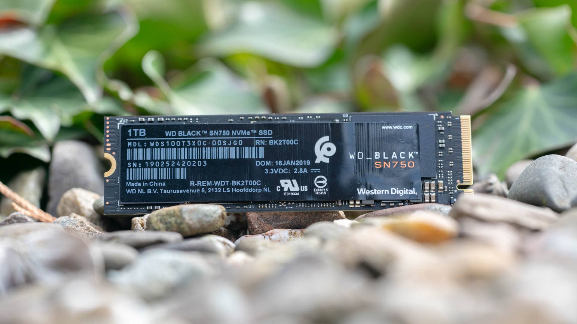 Western Digitals Ssd Fur Gamer Im Test Wd Black Sn750 Techtest