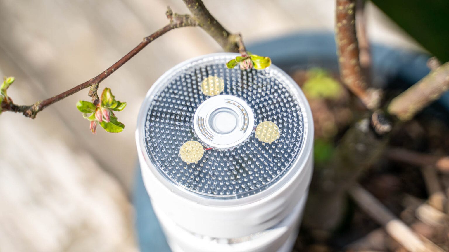 Die außergewöhnlichste Wetterstation, der Ecowitt Wittboy im Test