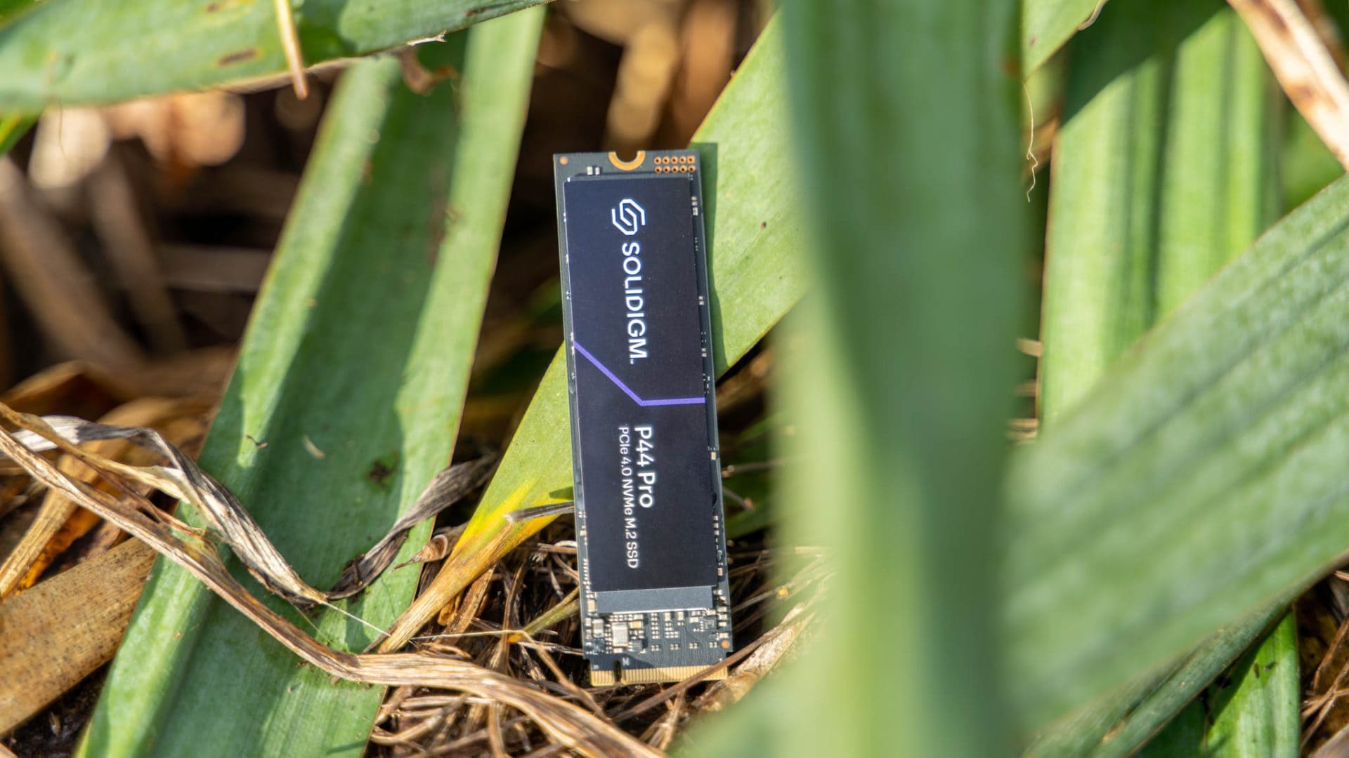 Die Solidigm P44 Pro im Test, die derzeit schnellste SSD! - Techtest
