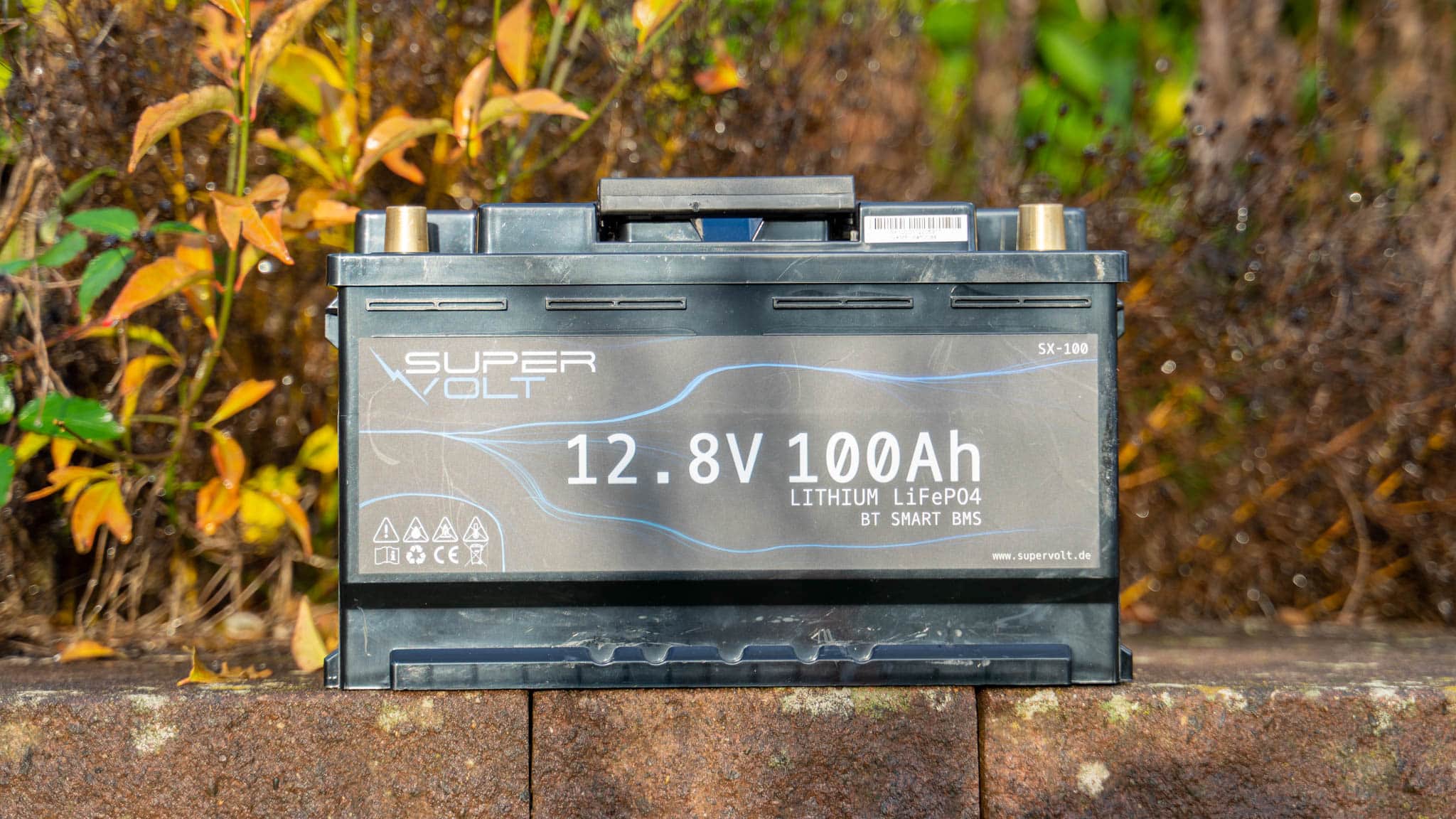 LOUITTON LiFePO4 Akku 12V 100Ah Lithium Batterie mit BMS für Solaranlage  Boot RV