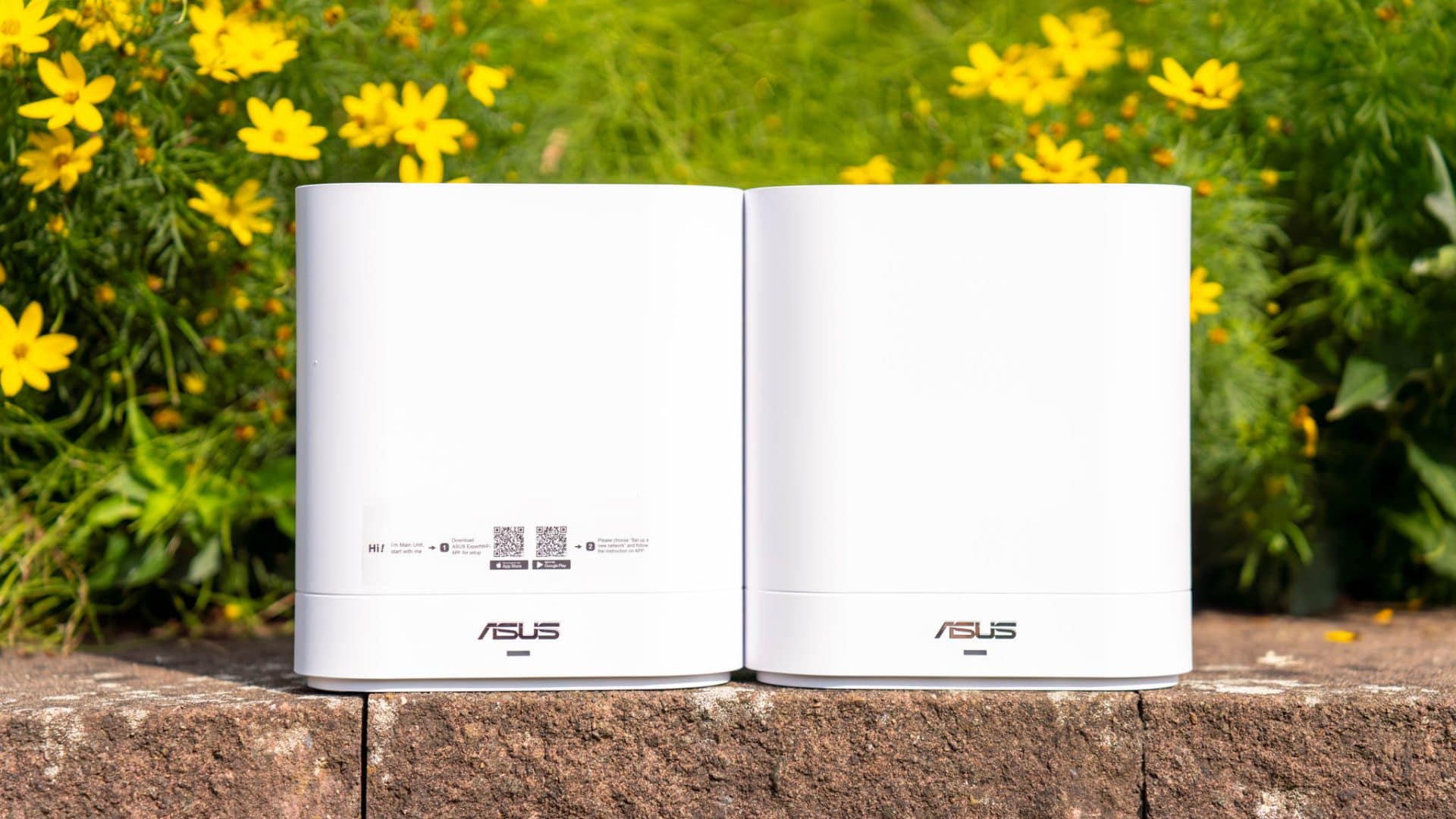 Der ASUS ExpertWiFi EBM68 im Test, ideales WLAN für Restaurants und ...