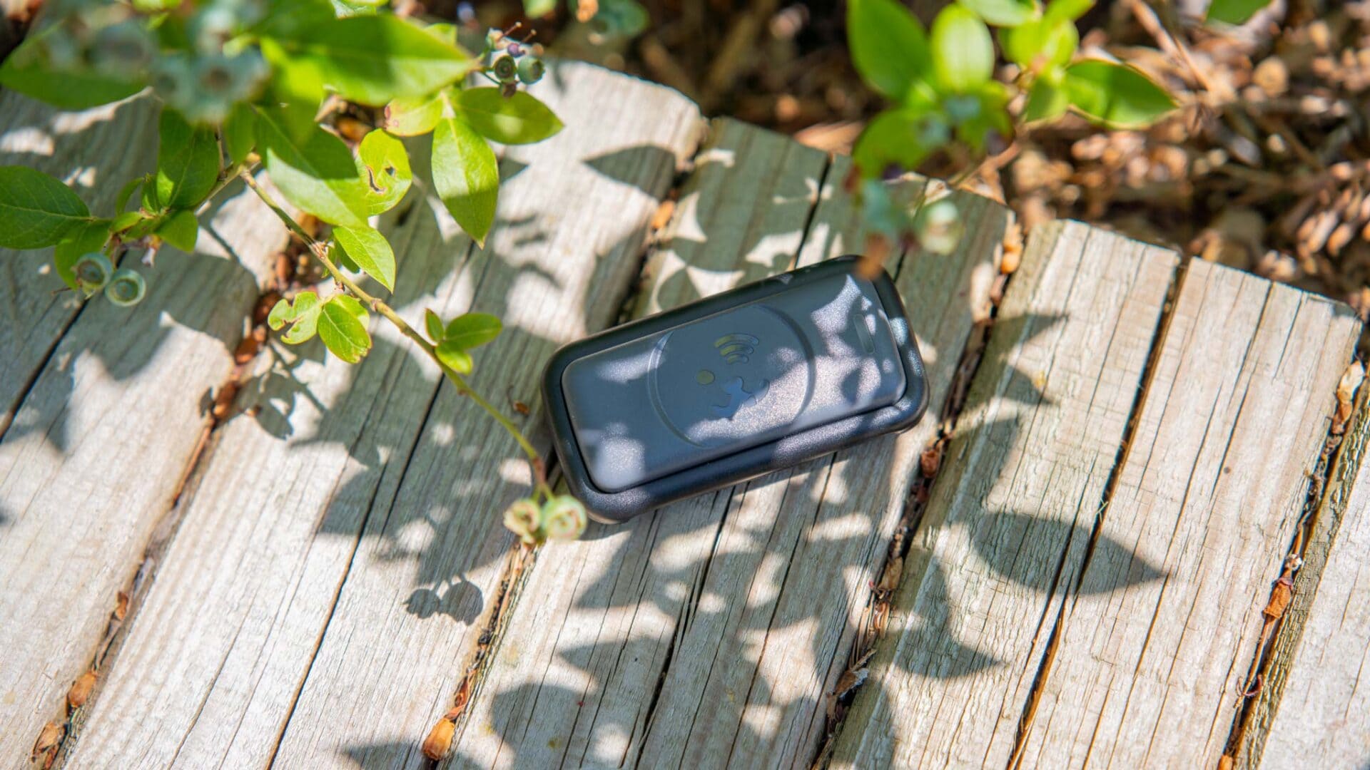 Fressnapf Tracker im Test, günstiger GPS Tracker mit NBIoT Technik