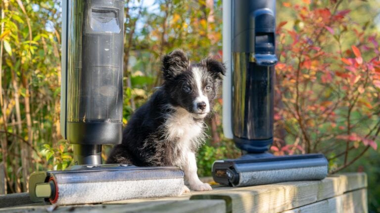 Empfehlung für Welpen-Besitzer von einem Hundebesitzer! Waschsauger sind ein Segen!