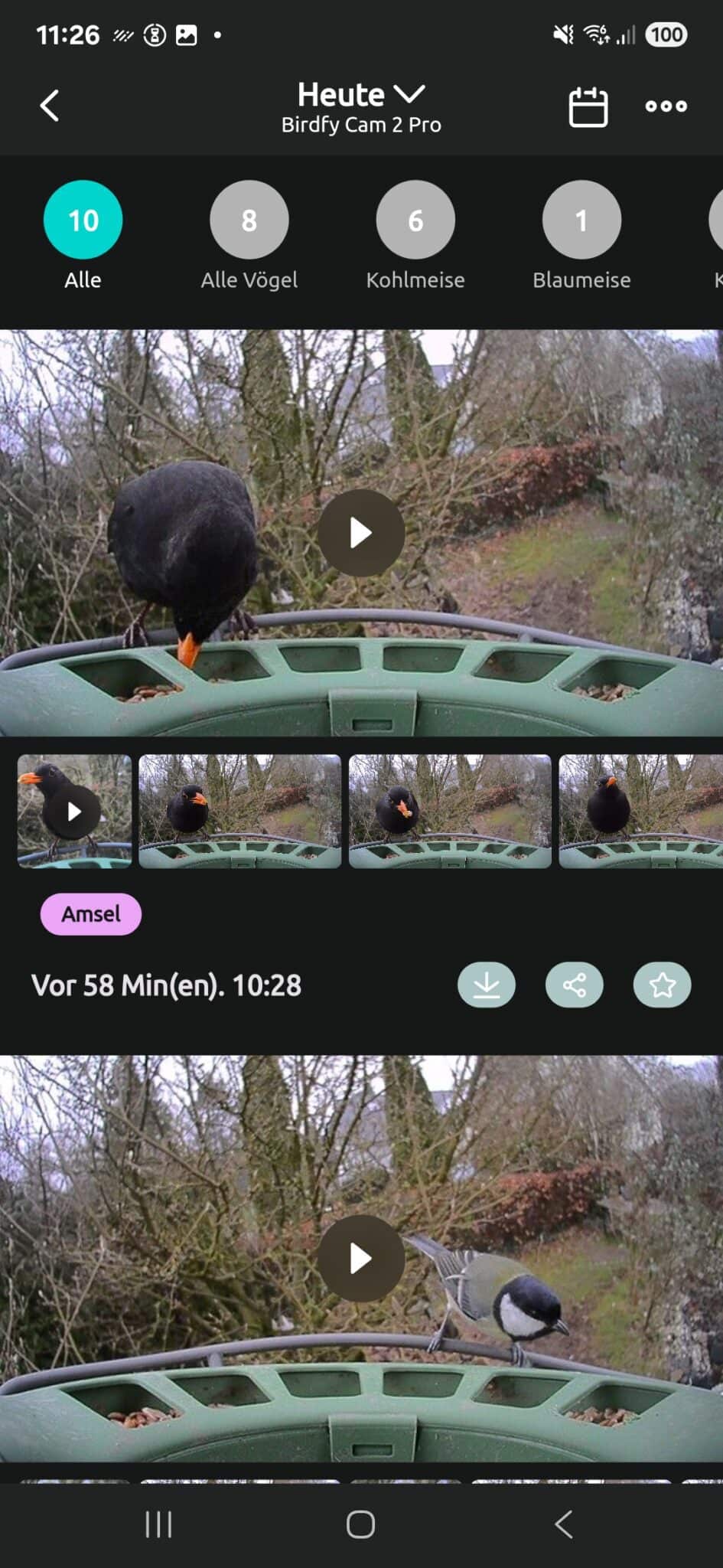 Das beste Vogelhaus mit Überwachungskamera! Birdfy Feeder 2 im Test