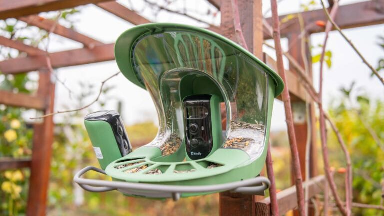 Das beste Vogelhaus mit Überwachungskamera! Birdfy Feeder 2 im Test, mit KI, die funktioniert!