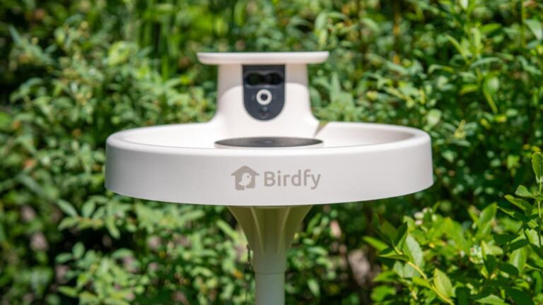 Birdfy Bath Pro Test: Intelligente Vogeltränke mit KI-Erkennung im Review