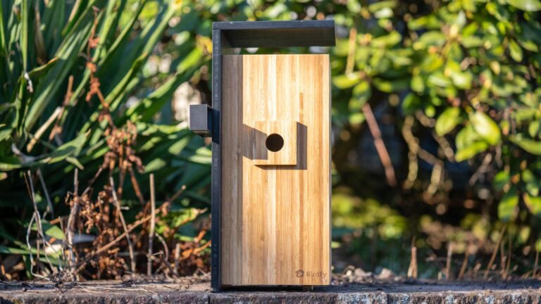Der beste Nistkasten mit Kamera! Birdfy Nest Duo im Test