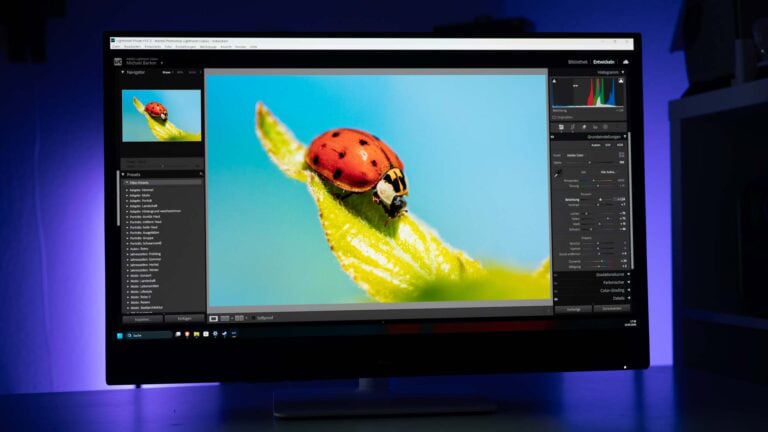 Der günstigste große 4K OLED! (und der ist gut) Dell 32 Plus S3225QC im Test