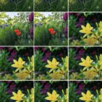 Synology BeePhotos – Detailansicht