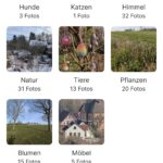 Synology BeePhotos – Alben-Ansicht 1
