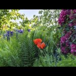 Synology BeePhotos – Alben-Ansicht 2