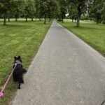 QNAP QuMagie – Detailansicht